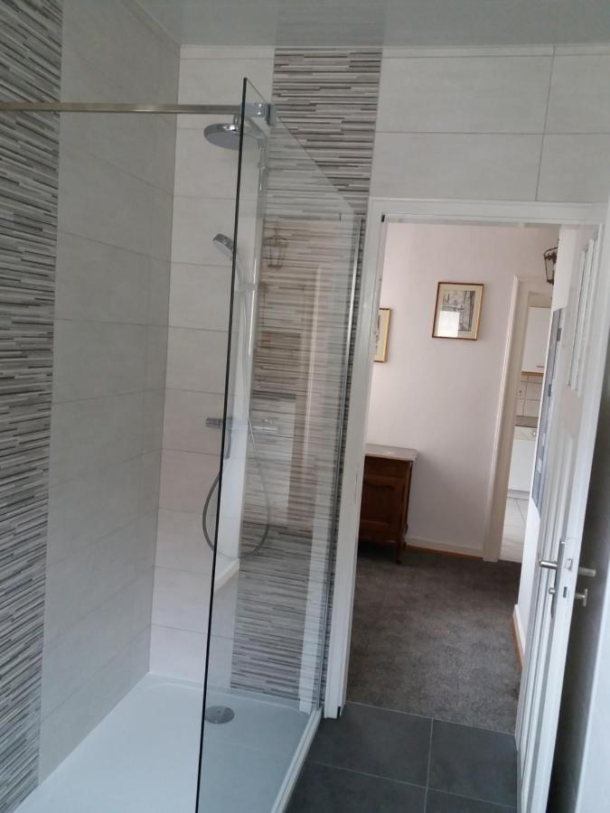 Logis Le 18 Rose Appartement Straatsburg Buitenkant foto